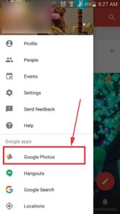 Google plus photo backup option